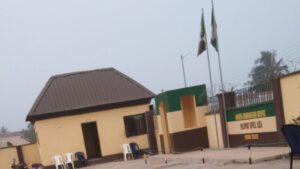 REPORTER’S DIARY: I Applied for Int’l Passport Online, But Biometric Capture Was Impossible Due to ‘Network Issue’